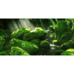 Aqua Natural Aquarium Background ‘Moss Forest’ 60 X 120cm