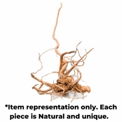 Gold Vine Small 30cm Approx