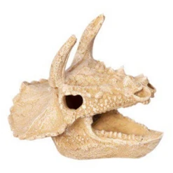 Aqua One Bisticeratops Skull Aquarium Ornament 12 X 14 X 12cm