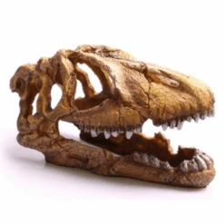 Aqua One Dinosaur Skull 23.4 X 10.5 X 13.5cm