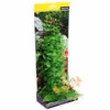 Aqua One Ecoscape Large Baby Tears Plastic Aquarium Plant Green -Nick and Pet Needs Aqua One Ecoscape Large Baby Tears Plastic Aquarium Plant Green