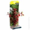 Aqua One Ecoscape Medium Hygro Plastic Aquarium Plant Red -Nick and Pet Needs Aqua One Ecoscape Medium Hygro Plastic Aquarium Plant Red