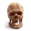 Aqua One Human Skull With Hole 13.5 X 9.5 X 13cm -Nick and Pet Needs Aqua One Human Skull with Hole 13.5 x 9.5 x 13cm