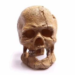 Aqua One Human Skull With Hole 13.5 X 9.5 X 13cm