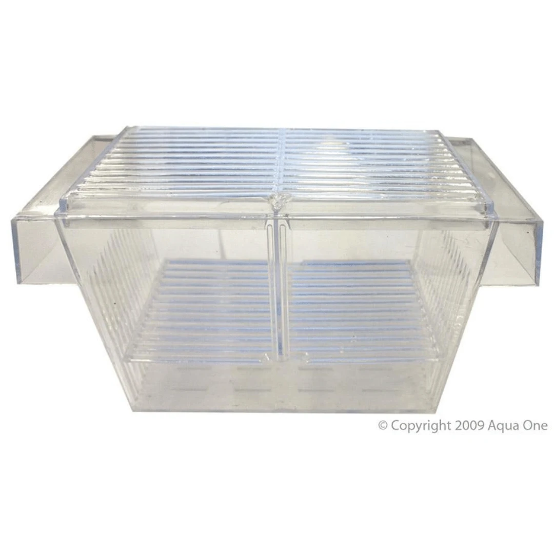 Aqua One Midi Breeding Tank Floating 19.5 X 10.5 X 10cm 3 Aqua One Midi Breeding Tank Floating 19.5 X 10.5 X 10cm