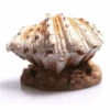 Aqua One Ornament Air Operated Clam On Sand 9.3 X 9 X 6.5cm