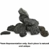 No Brand Black Lava Rock Per Kg