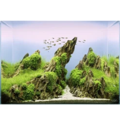 Dragon Rock Per Kg -Nick and Pet Needs Dragon Rock Aquascape