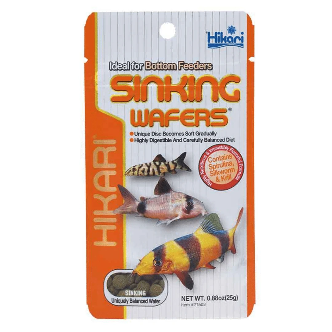 Hikari Sinking Wafers 25g 3 Hikari Sinking Wafers 25g