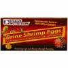 Ocean Nutrition Brine Shrimp Eggs Box 20g -Nick and Pet Needs Ocean Nutrition Brine Shrimp Eggs Box 20g 1