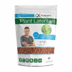 Oliver Knott Plant Laterite 2L / 3.1kg