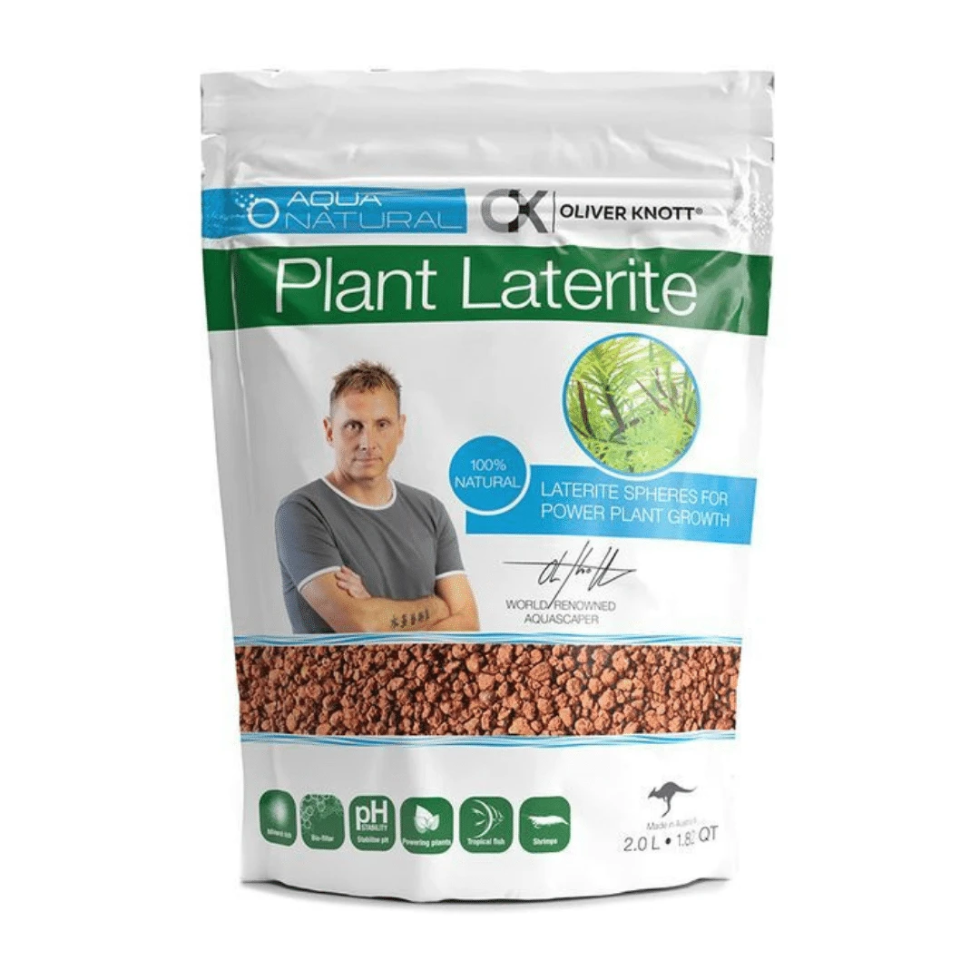 Oliver Knott Plant Laterite 2L / 3.1kg 3 Oliver Knott Plant Laterite 2L / 3.1kg
